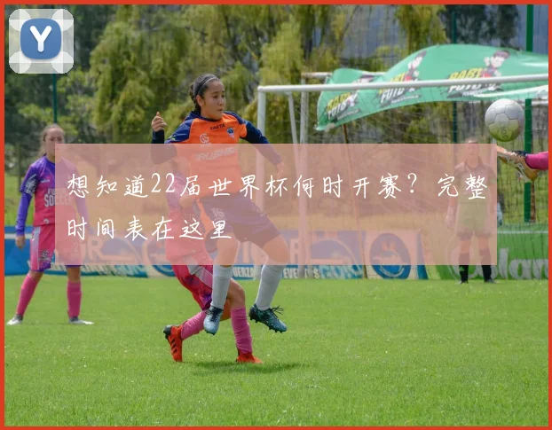 想知道22届世界杯何时开赛？完整时间表在这里