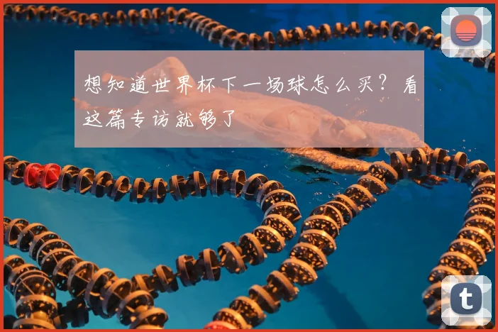 想知道世界杯下一场球怎么买？看这篇专访就够了
