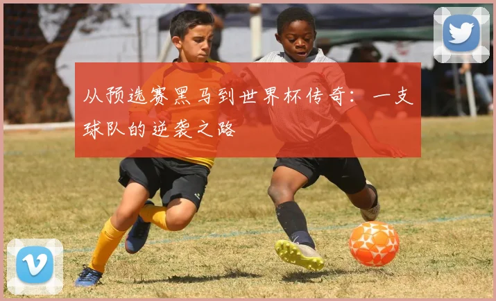 从预选赛黑马到世界杯传奇：一支球队的逆袭之路