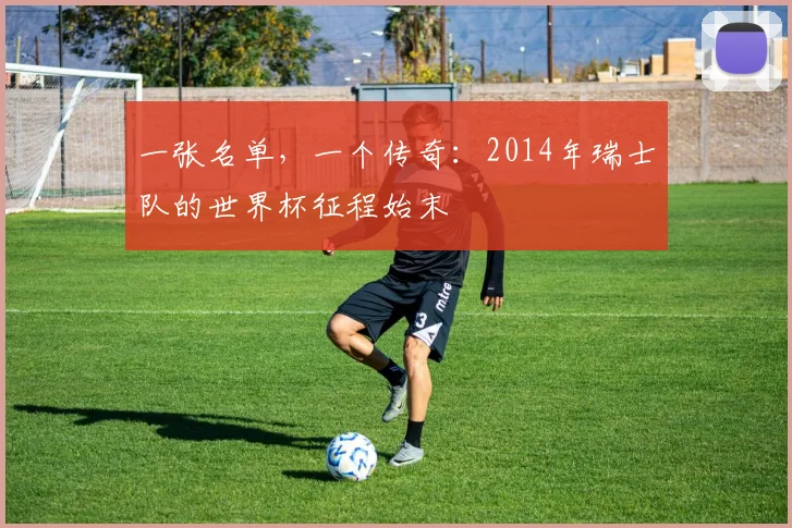 一张名单，一个传奇：2014年瑞士队的世界杯征程始末